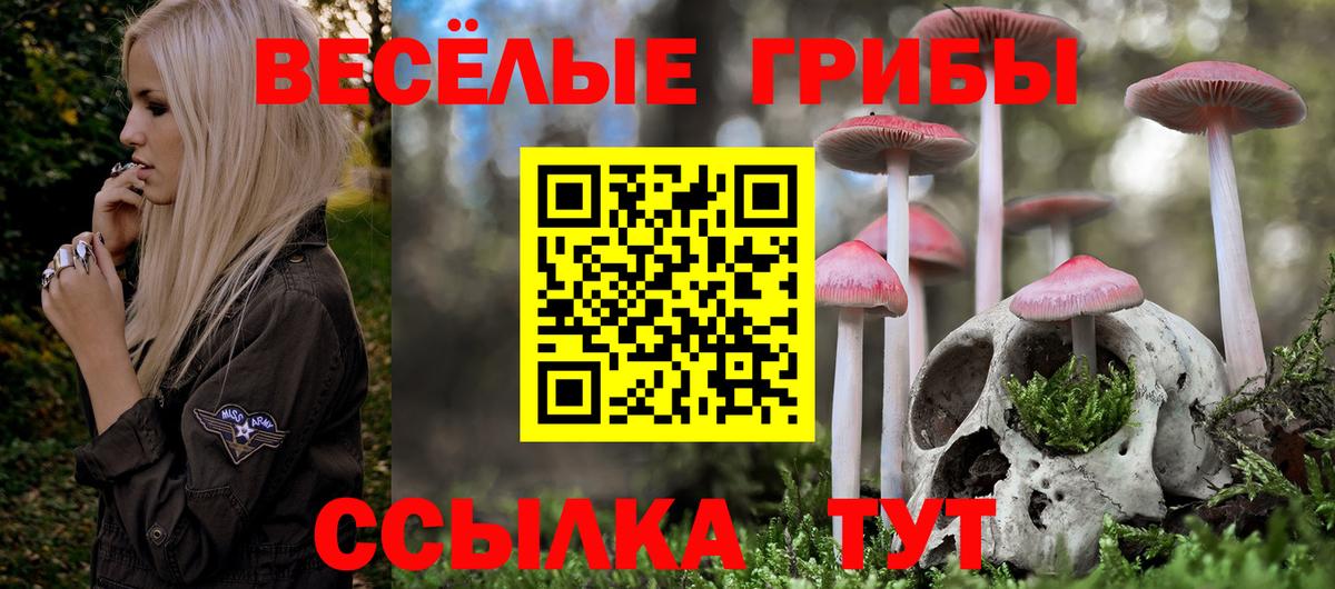 Галлюциногенные грибы мухоморы Троицк